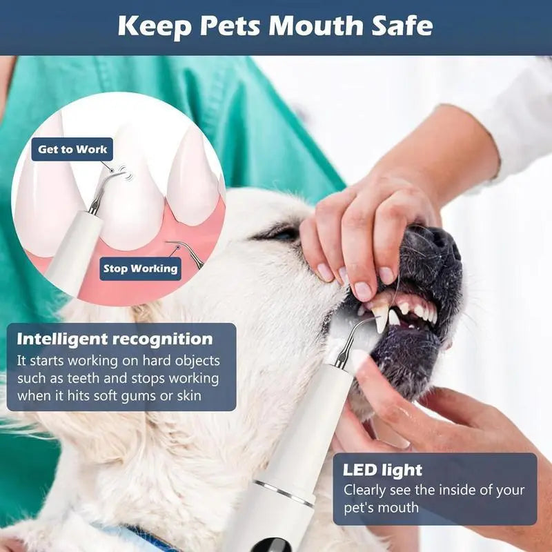 Ultrasonic Dental Plaque Remover for Humans & Pets - Professional Teeth Cleaning Kit for Tartar & Stain Removal, Safe & Gentle Electric Toothbrush for Cats, Dogs and People #Summervibes